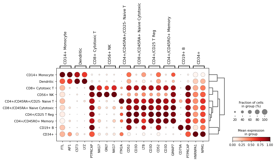 ../../_images/scanpy-pl-rank_genes_groups_dotplot-3.png